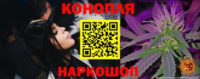 ПСИЛОЦИБИНОВЫЕ ГРИБЫ Камышлов