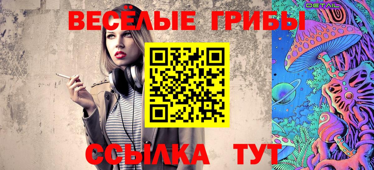 хочу наркоту  Вход с VPN  Котлас  Псилоцибиновые грибы Psilocybine cubensis 